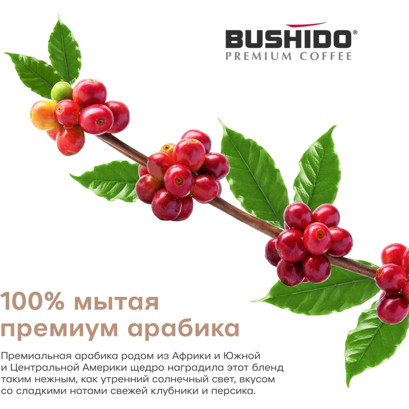 Кофе в зёрнах Bushido Sensei 1кг - фото 5
