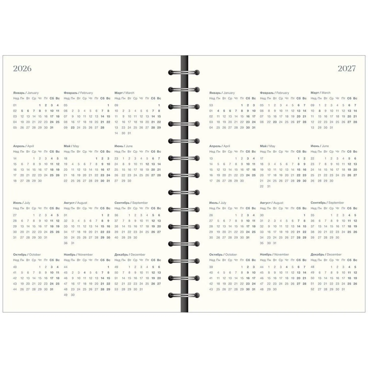 Ежедневник датированный 2026 IF 14х20см 160л, на спир, Basic I1751emb/blue - фото 4