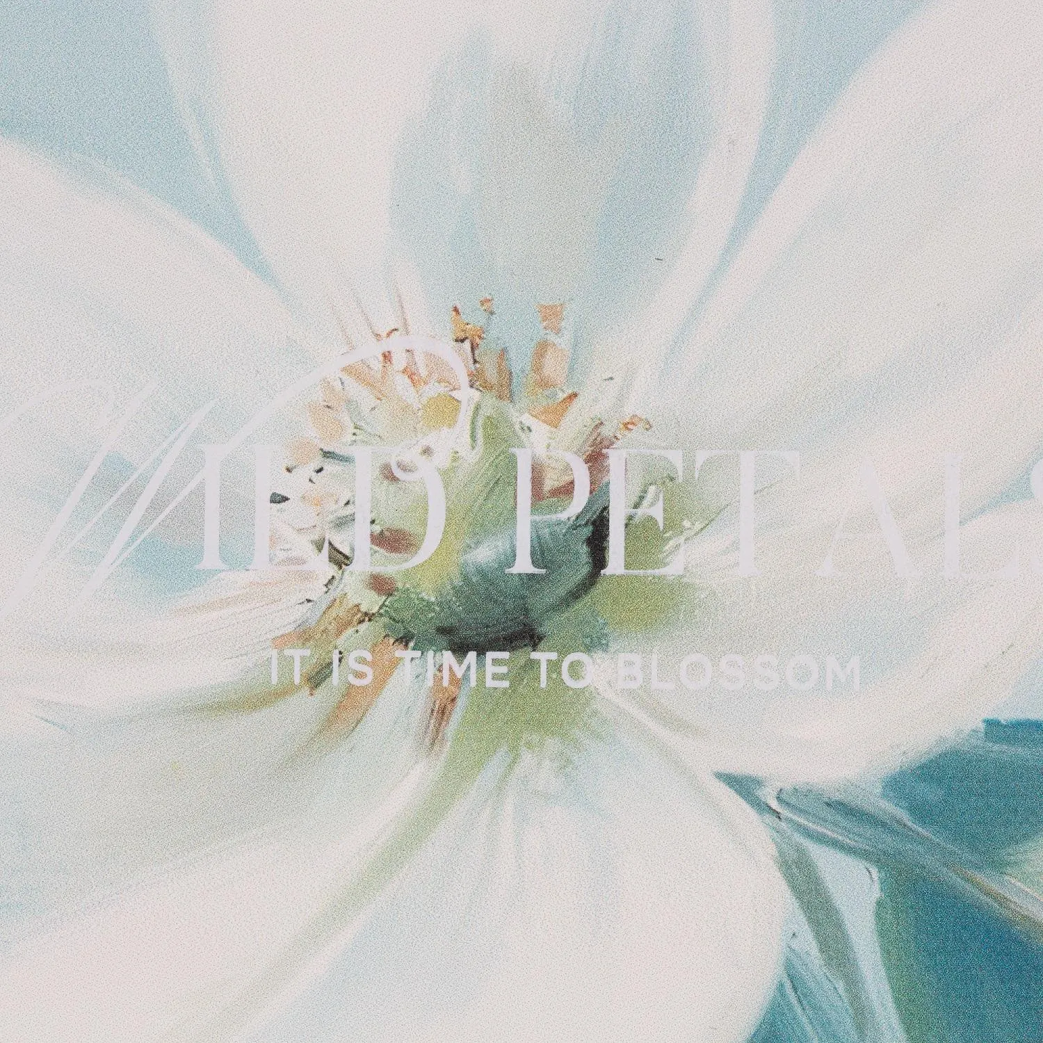 Ежедневник недатированный IF 14х20см 160л, интегр, Petals I1861/flower - фото 3