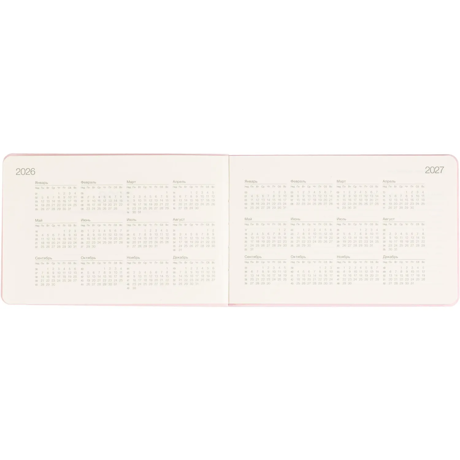 Еженедельник датированный 2026 IF 16х105см 64л, мягкий, Candy I1812/pink - фото 6