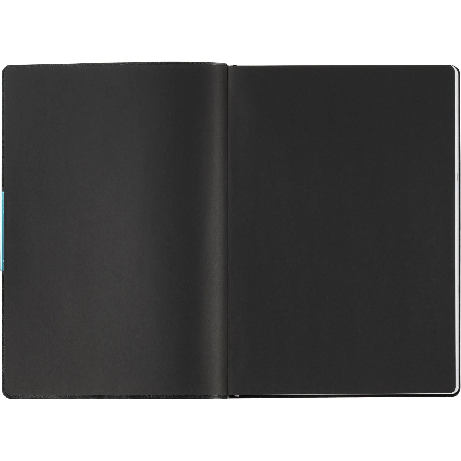 Ежедневник датированный 2026 ESCALADA А4 (210х297мм), 120л, черный 70205 - фото 4