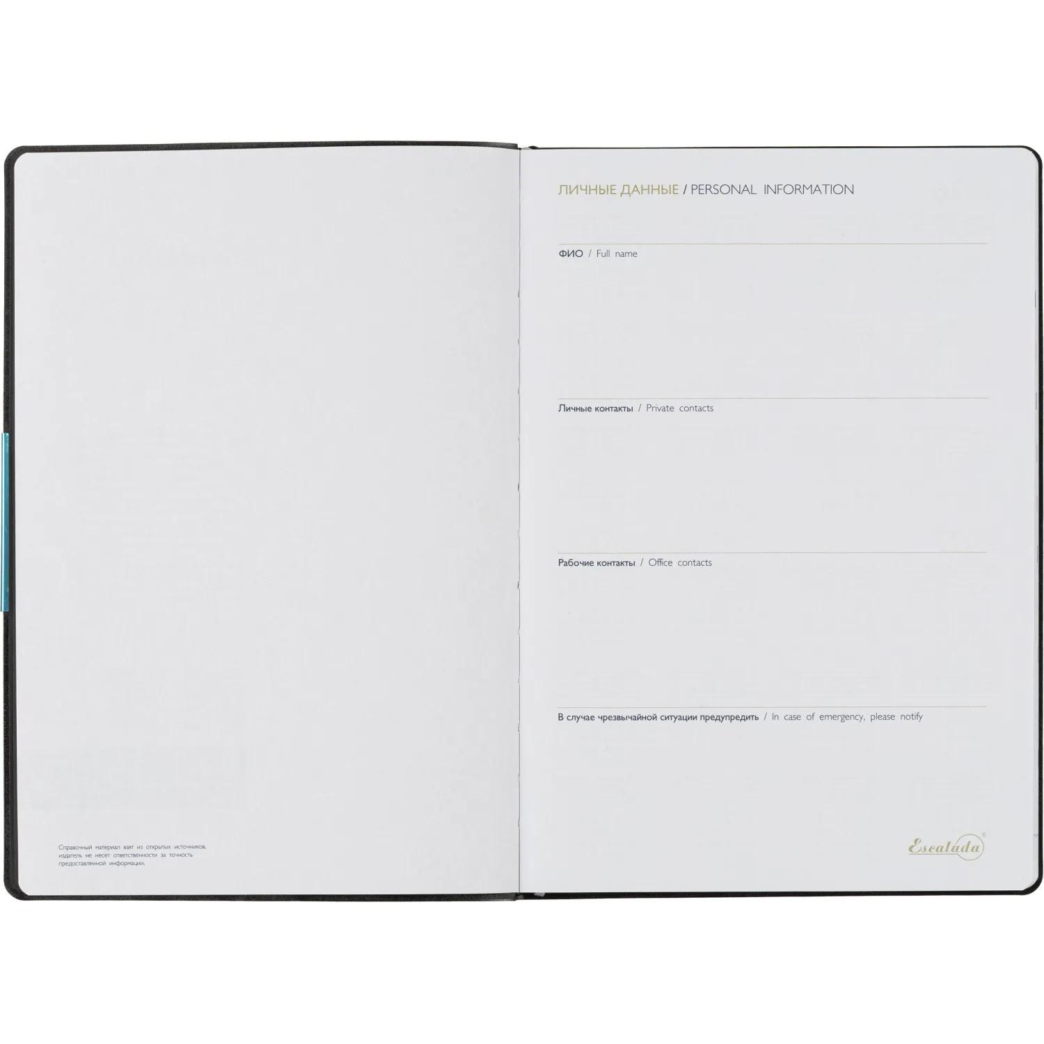 Ежедневник датированный 2026 ESCALADA А4 (210х297мм), 120л, черный 70205 - фото 6