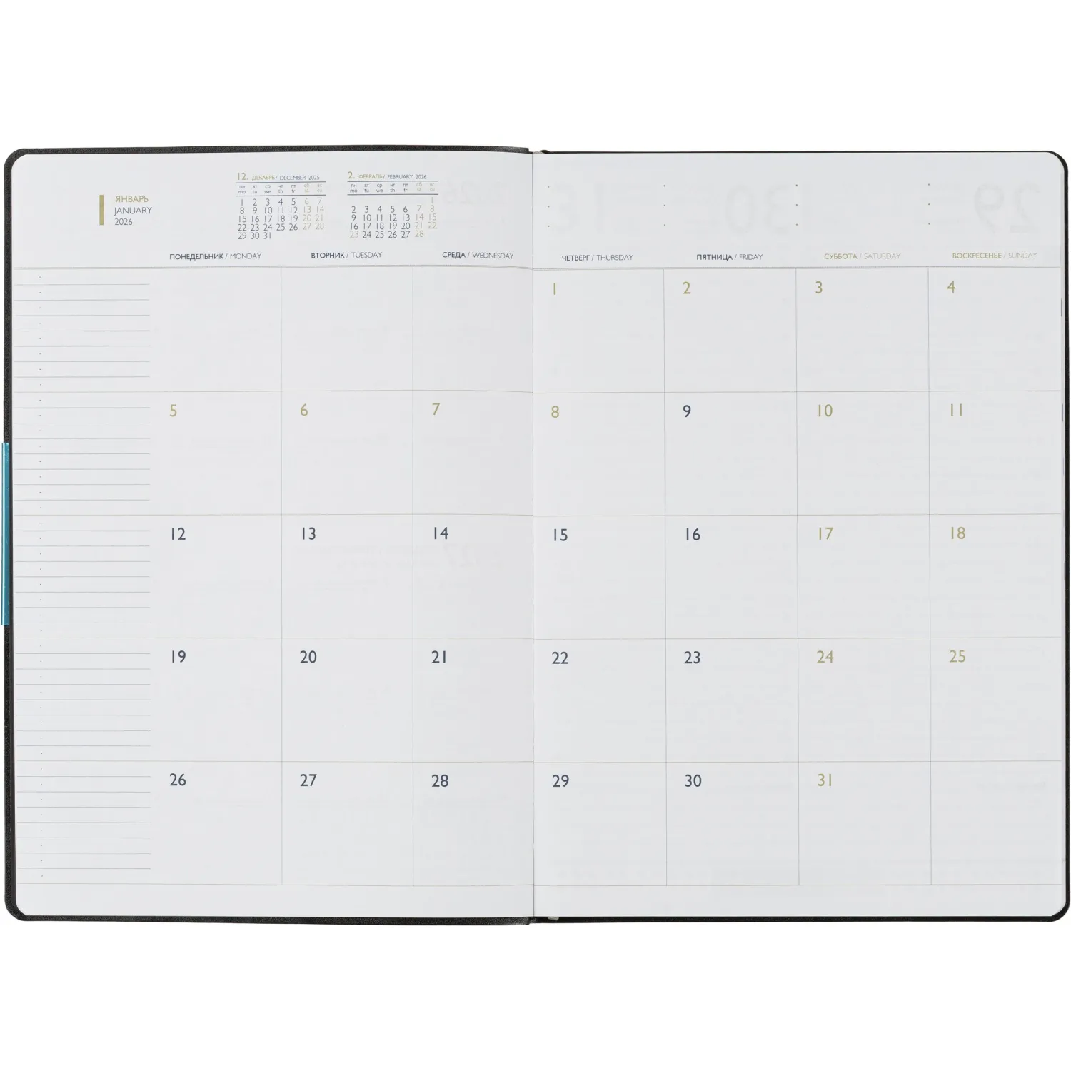 Ежедневник датированный 2026 ESCALADA А4 (210х297мм), 120л, черный 70205 - фото 8