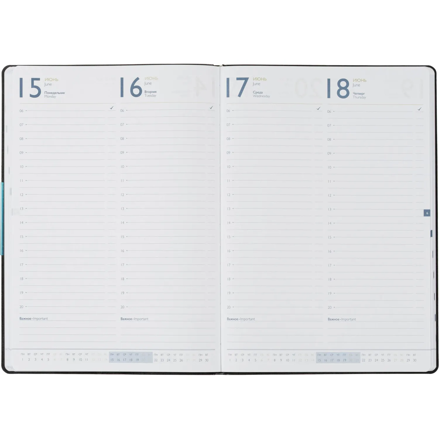 Ежедневник датированный 2026 ESCALADA А4 (210х297мм), 120л, черный 70205 - фото 9