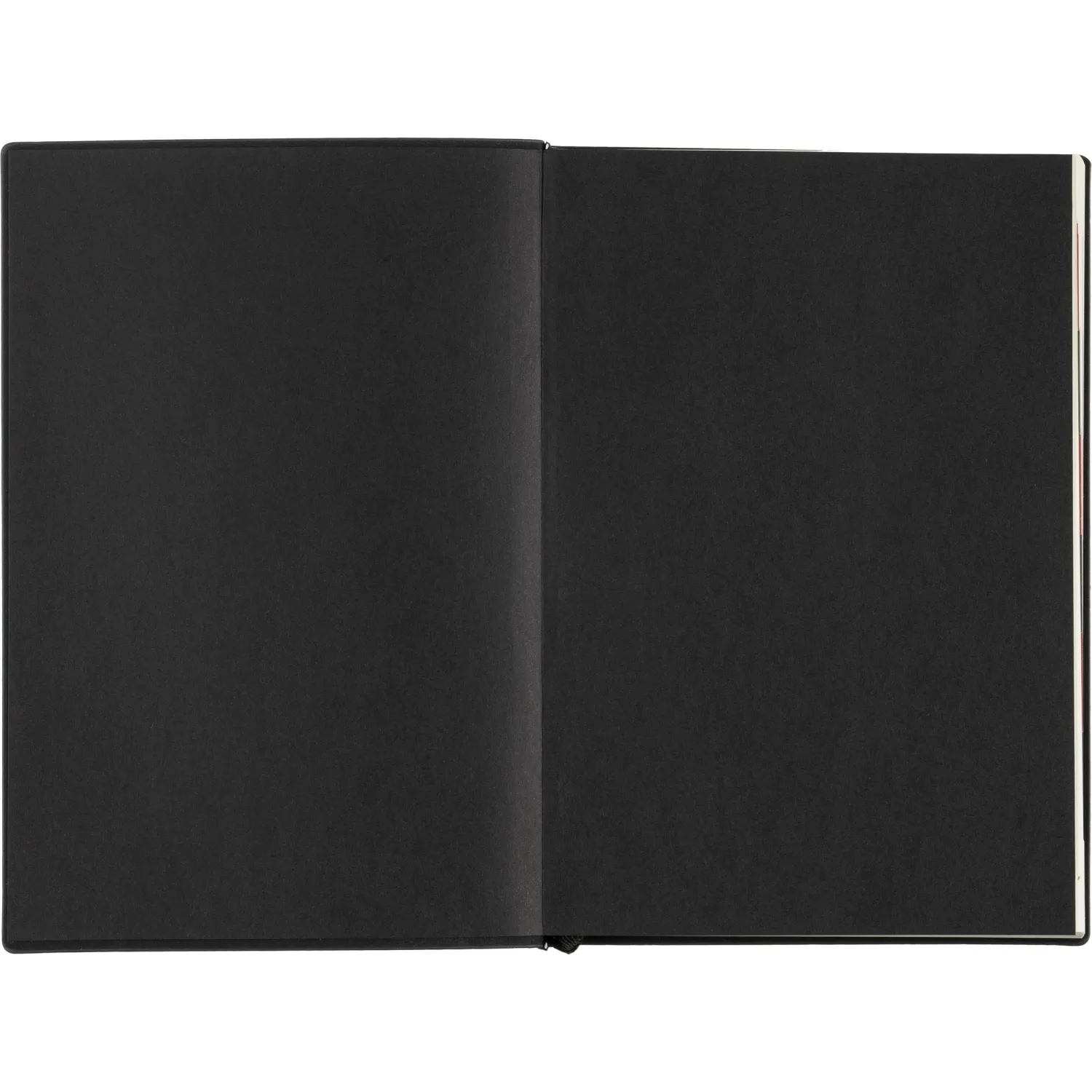 Ежедневник датированный 2026 ESCALADA А5 (146x211мм), 176л, черный 70269 - фото 4