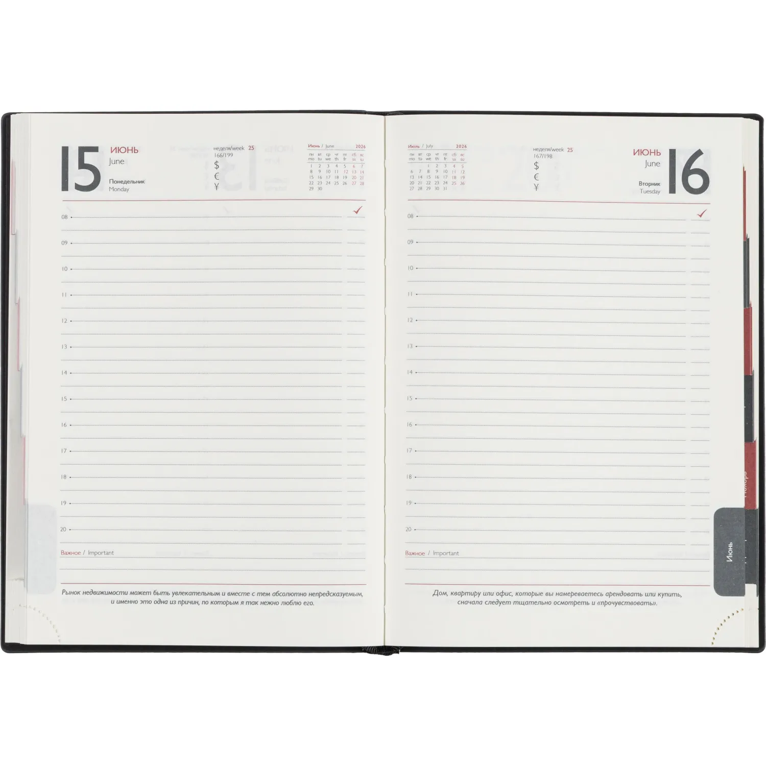 Ежедневник датированный 2026 ESCALADA А5 (146x211мм), 176л, черный 70269 - фото 11