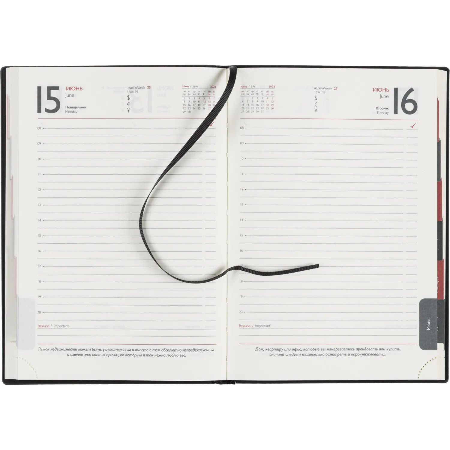 Ежедневник датированный 2026 ESCALADA А5 (146x211мм), 176л, черный 70269 - фото 12