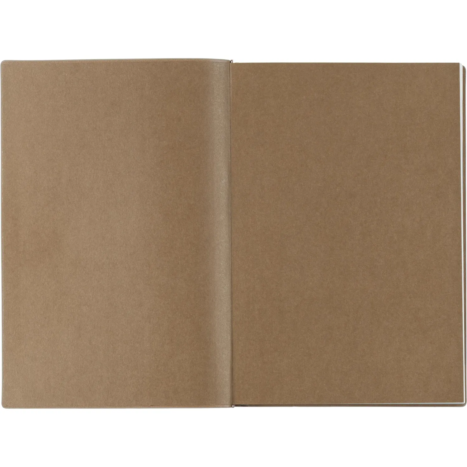 Ежедневник датированный 2026 ESCALADA А5 (146x211мм), 176л, бежевый 70270 - фото 4