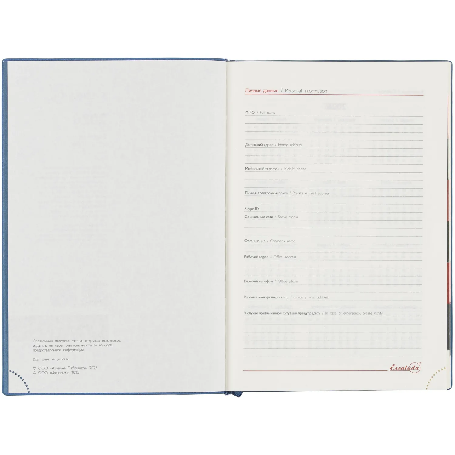 Ежедневник датированный 2026 ESCALADA А5 (146x211мм), 176л, голубой 70271 - фото 6