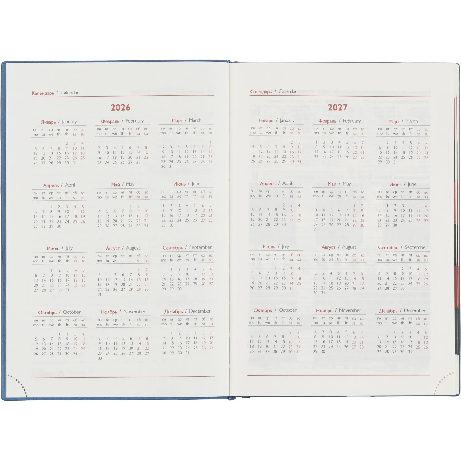 Ежедневник датированный 2026 ESCALADA А5 (146x211мм), 176л, голубой 70271 - фото 7