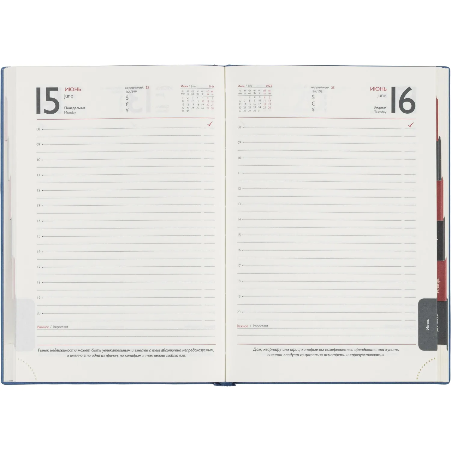 Ежедневник датированный 2026 ESCALADA А5 (146x211мм), 176л, голубой 70271 - фото 11