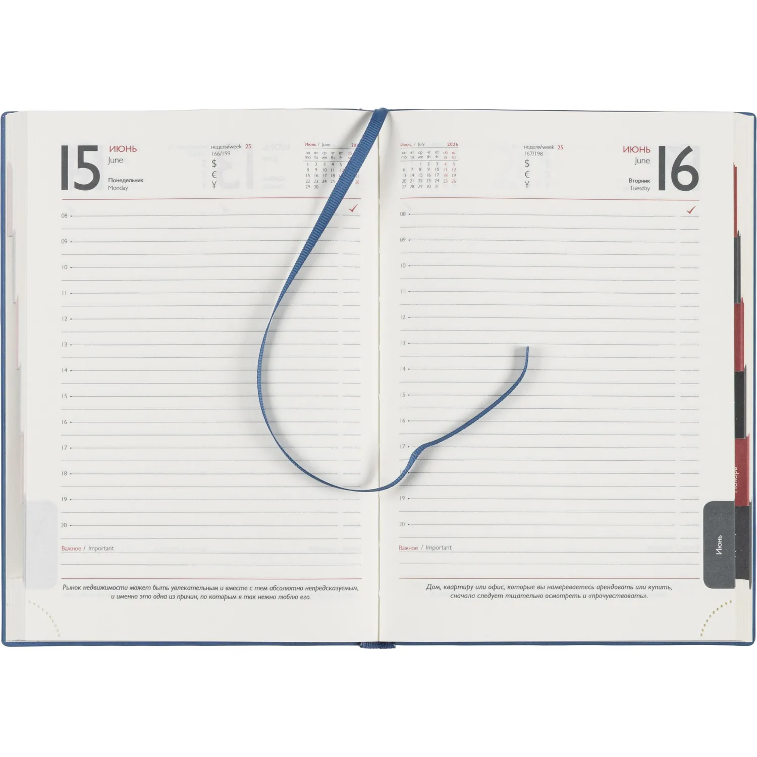 Ежедневник датированный 2026 ESCALADA А5 (146x211мм), 176л, голубой 70271 - фото 12