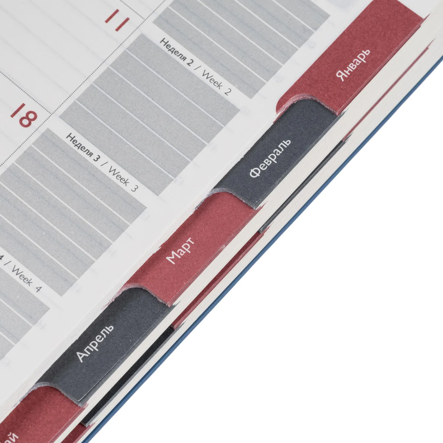 Ежедневник датированный 2026 ESCALADA А5 (146x211мм), 176л, голубой 70271 - фото 16