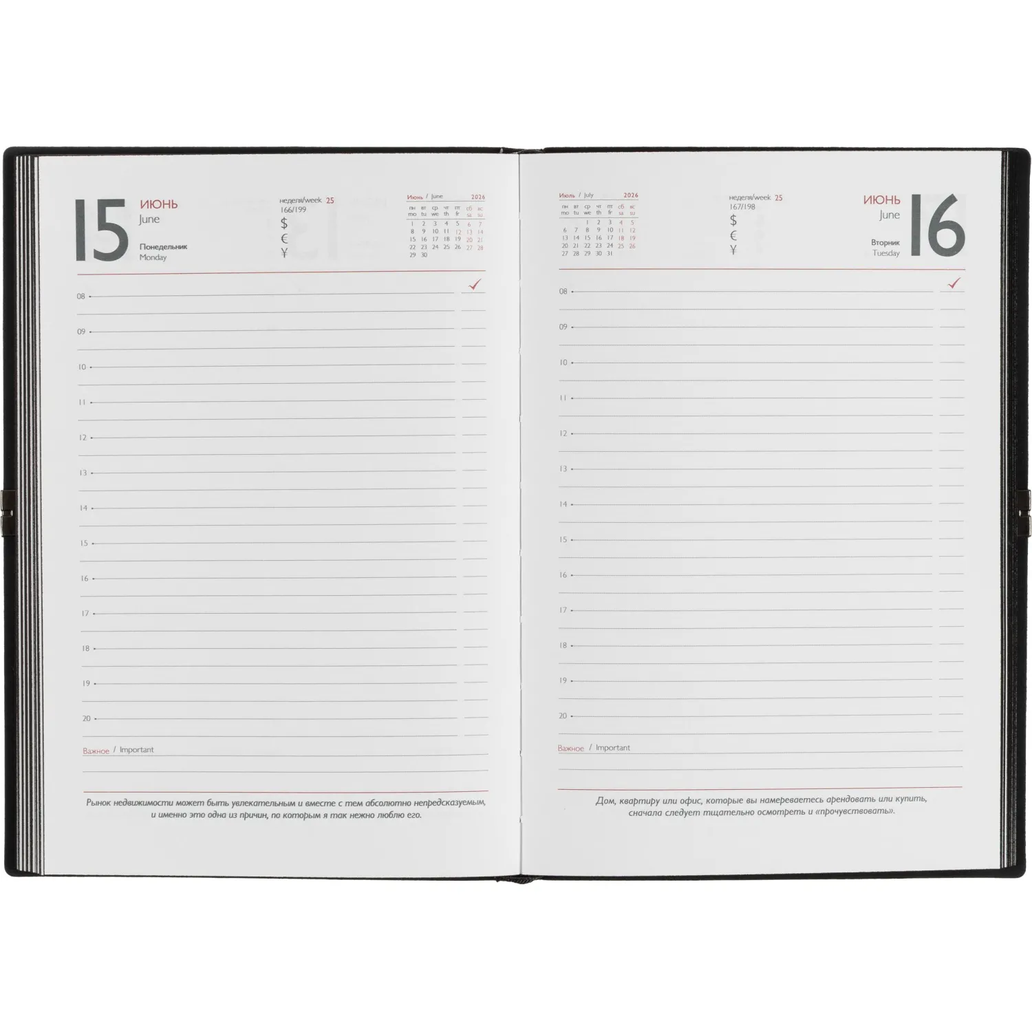 Ежедневник датированный 2026 ESCALADA А5 (146x211мм), 176л, черный 70273 - фото 11