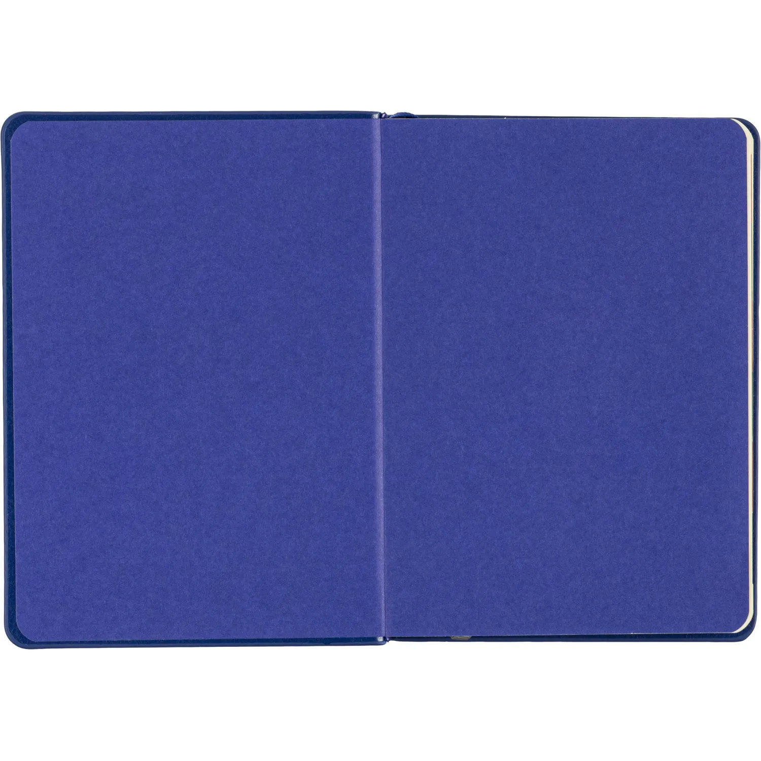 Ежедневник датированный 2026 ESCALADA А6+ (126x174мм), 176л, синий 70292 - фото 4