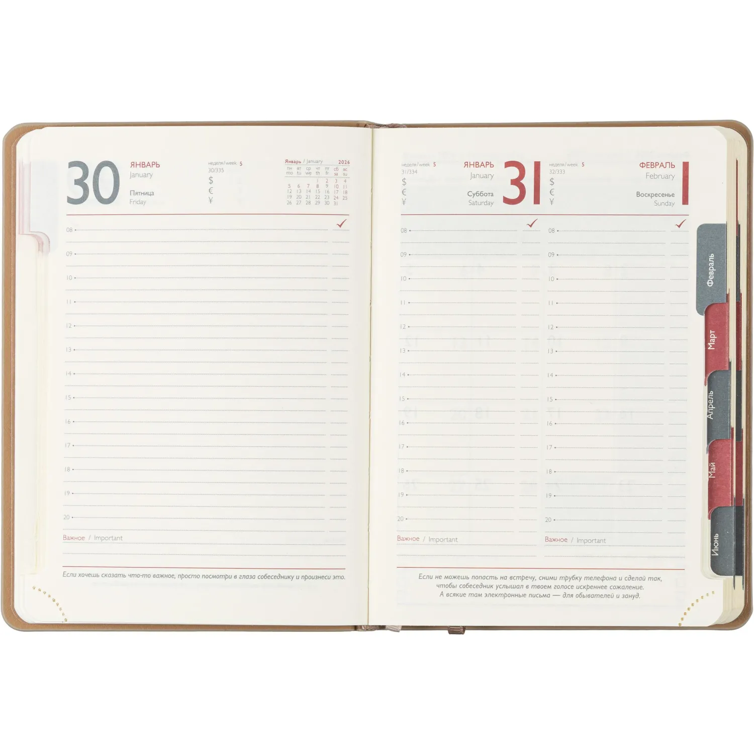 Ежедневник датированный 2026 ESCALADA А6+ (126x174мм), 176л, бежевый 70294 - фото 11