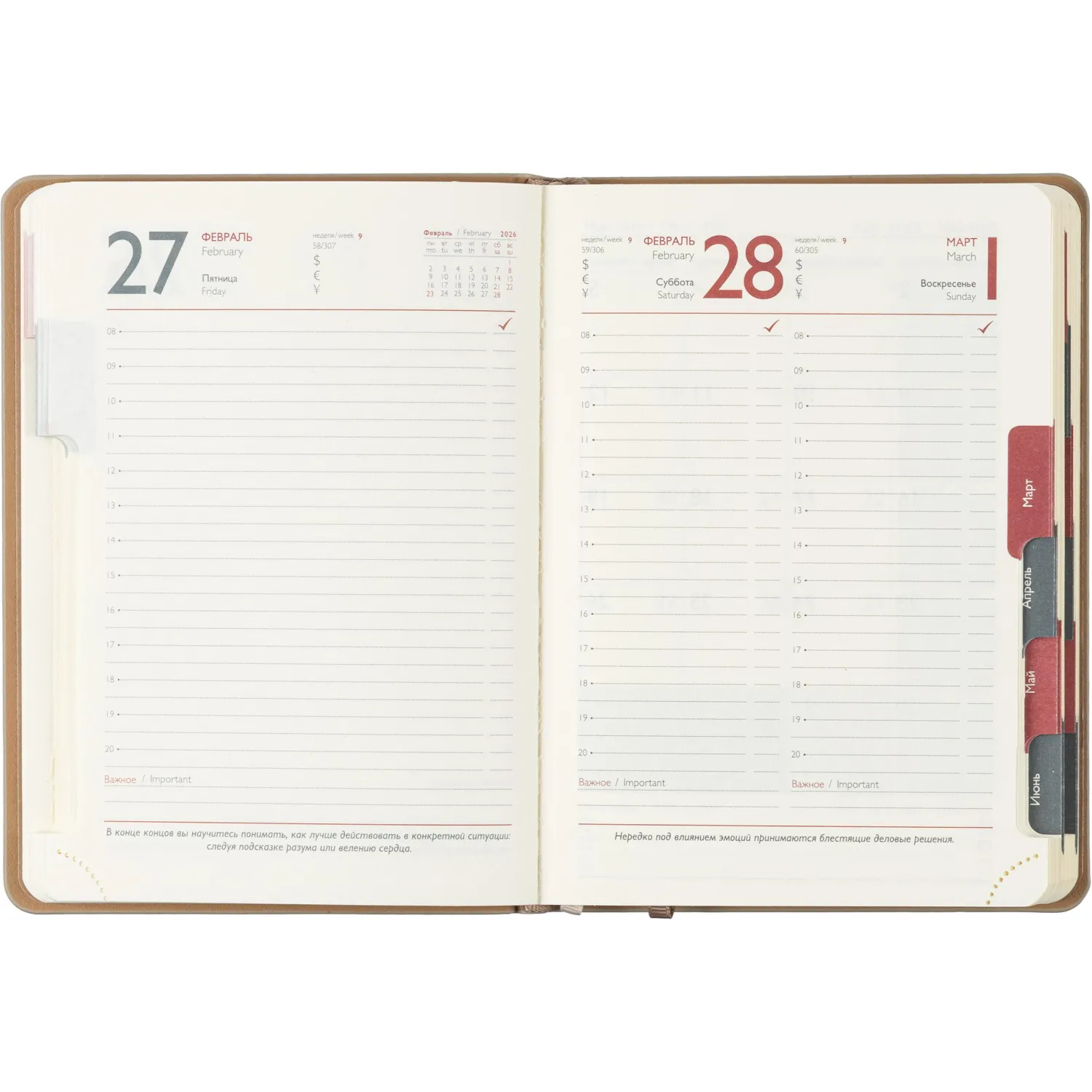 Ежедневник датированный 2026 ESCALADA А6+ (126x174мм), 176л, бежевый 70294 - фото 12