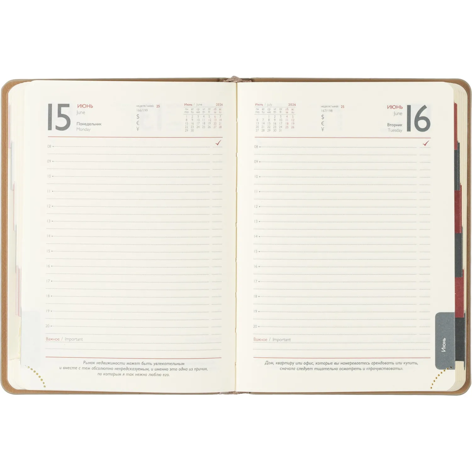 Ежедневник датированный 2026 ESCALADA А6+ (126x174мм), 176л, бежевый 70294 - фото 13