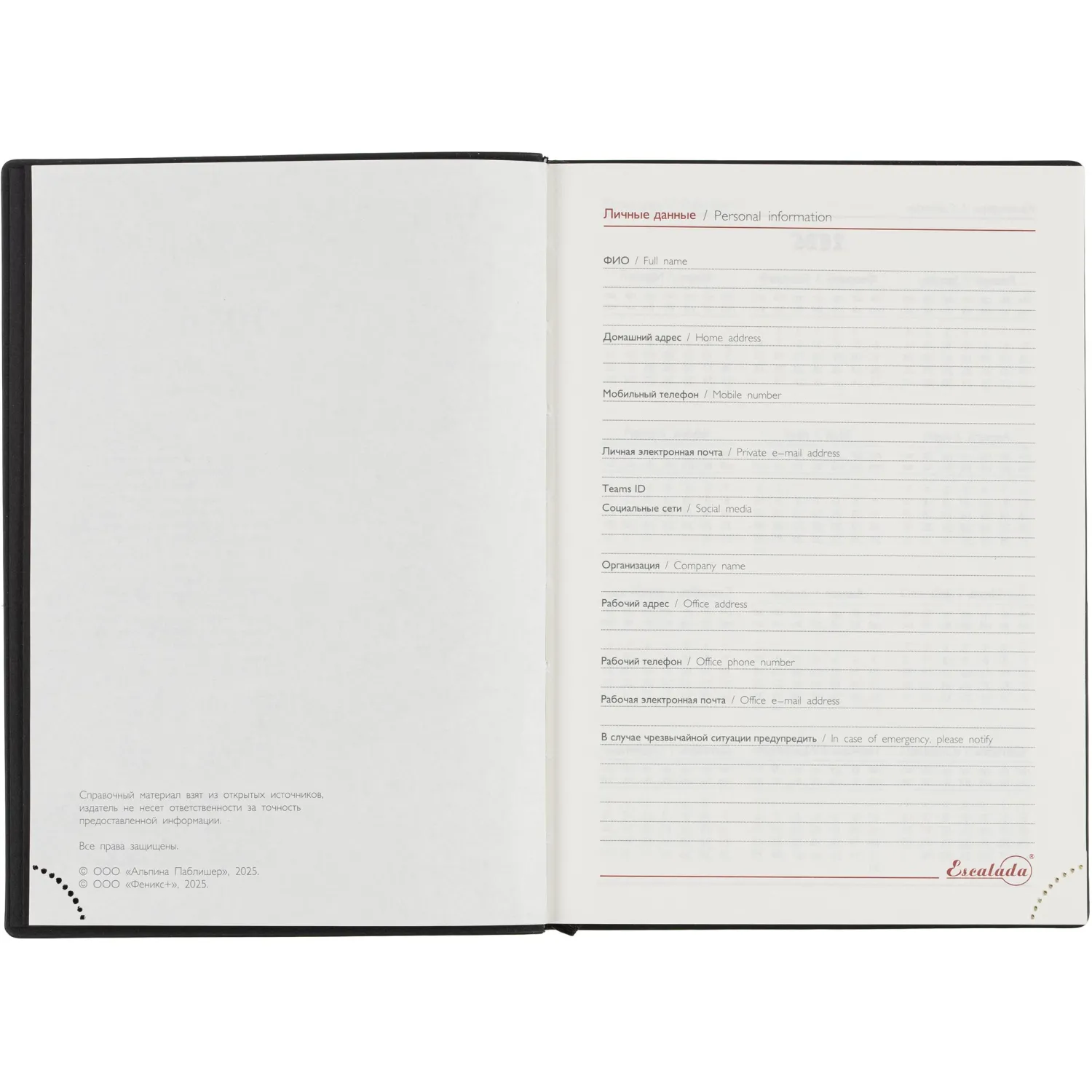 Ежедневник датированный 2026 ESCALADA А6+ (126х174мм), 176л, черный 70297 - фото 6