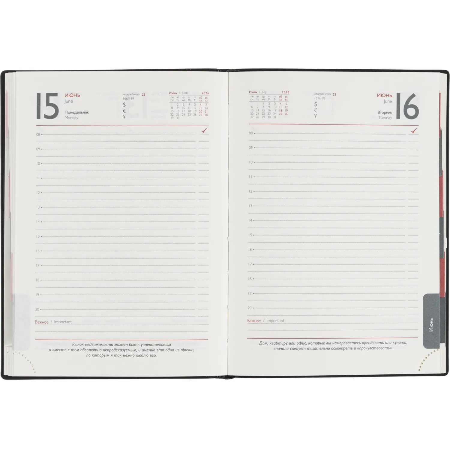 Ежедневник датированный 2026 ESCALADA А6+ (126х174мм), 176л, черный 70297 - фото 11