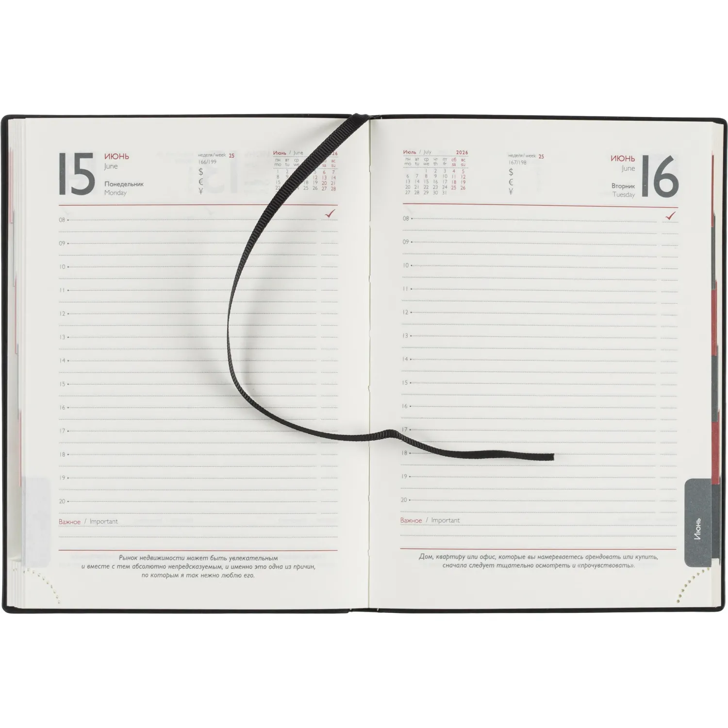 Ежедневник датированный 2026 ESCALADA А6+ (126х174мм), 176л, черный 70297 - фото 12