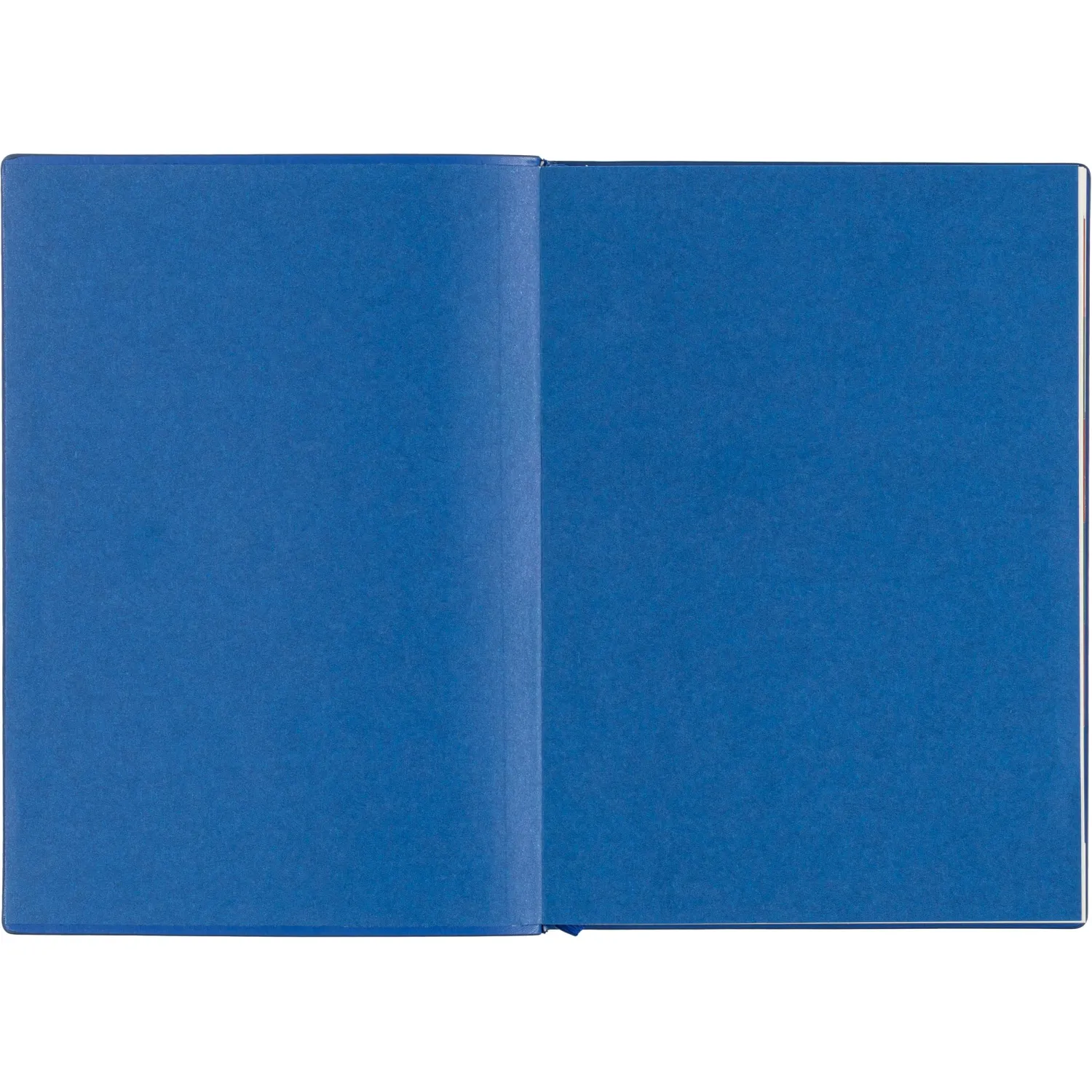 Ежедневник датированный 2026 ESCALADA А6+ (126х174мм), 176л, синий 70298 - фото 4