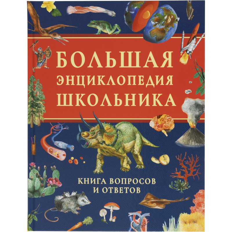Энциклопедия школьника .Книга вопросов и ответов, 63934 - фото 1