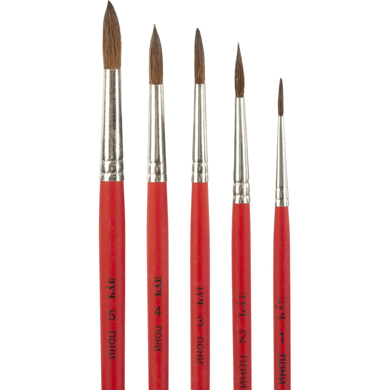 Набор кистей Классика цвета, 5 шт. ПОНИ (круглые №1,2,3,4,5) 33С 2178-08 - фото 2