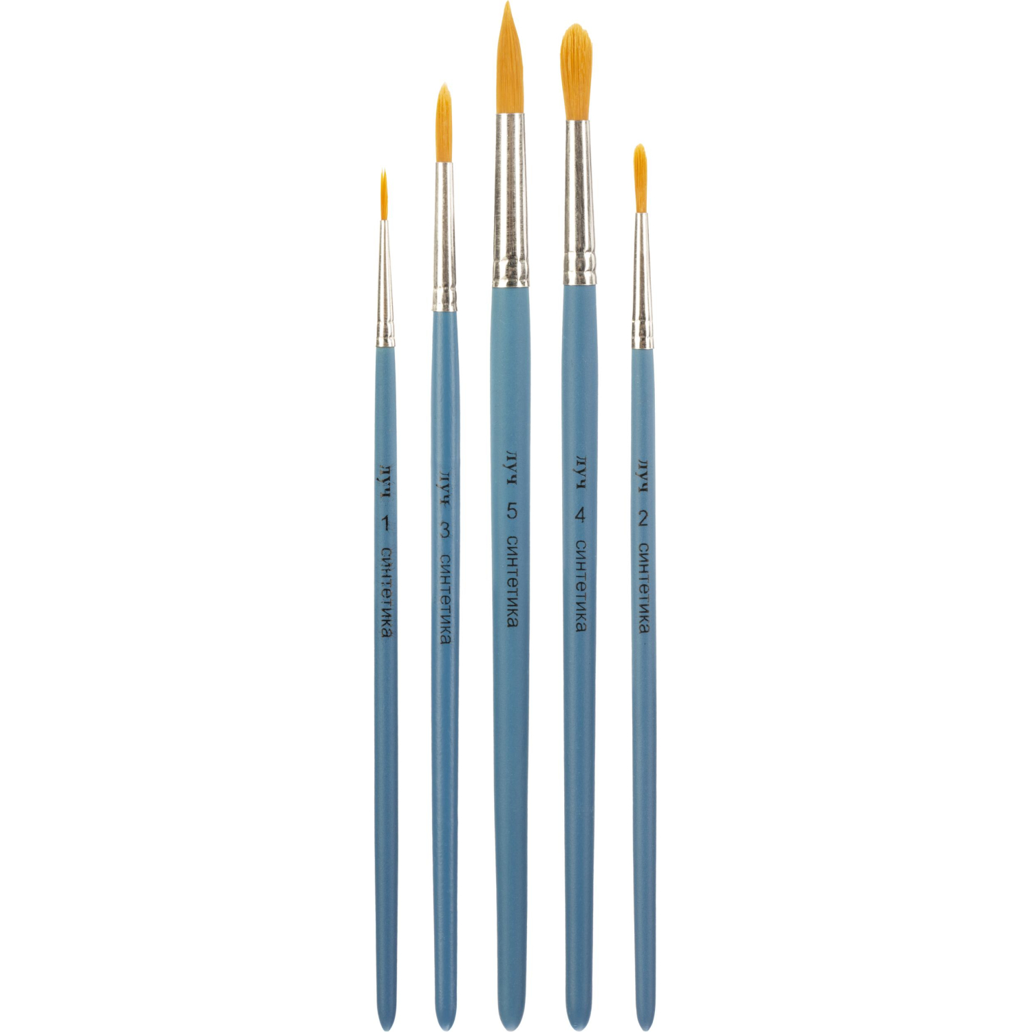 Набор кистей Классика цвета,5шт.СИНТЕТИКА(круглые №1,2,3,4,5) 33С 2180-08 - фото 2