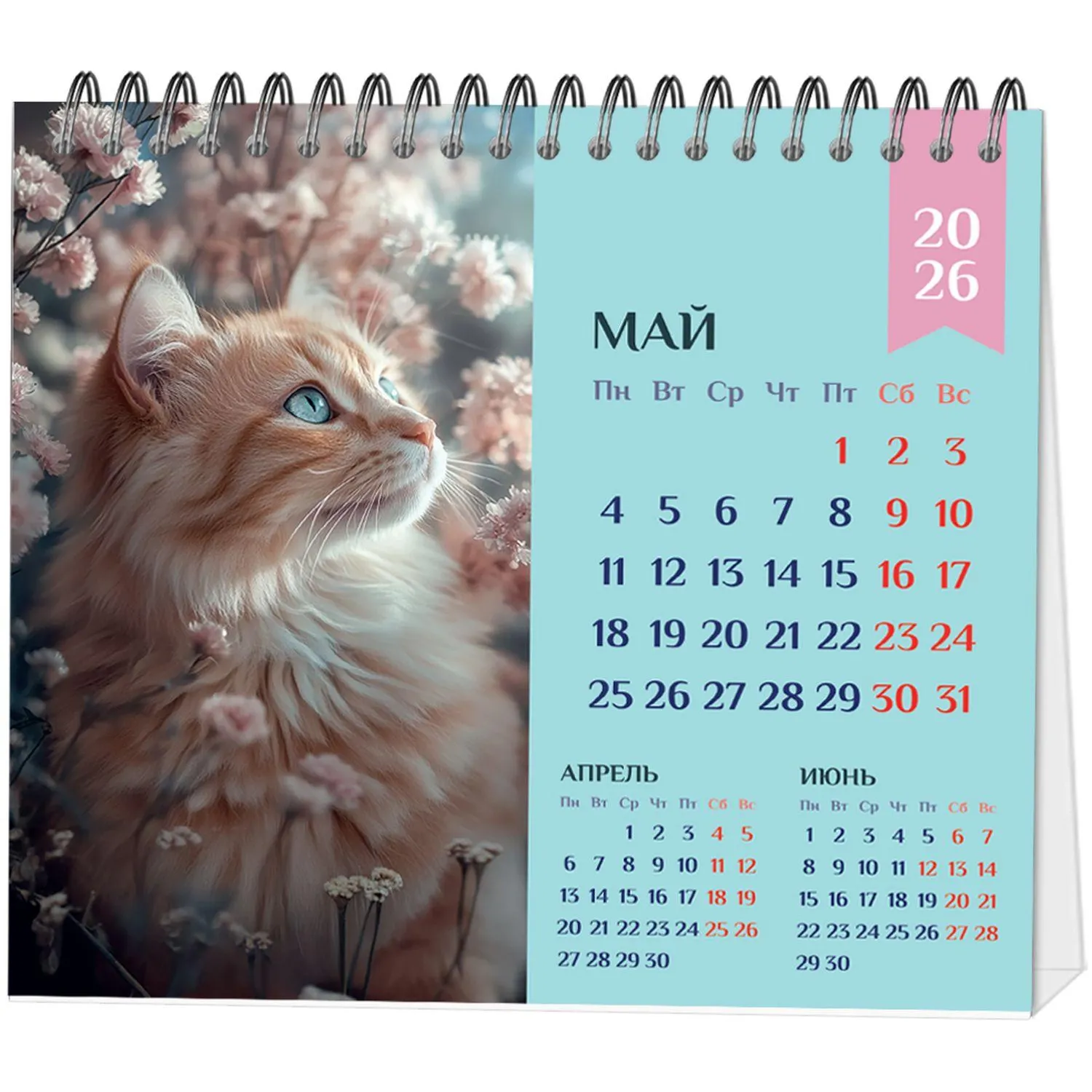 Календарь-домик настольный 2026 Atache, Котенок, 120х110 - фото 3