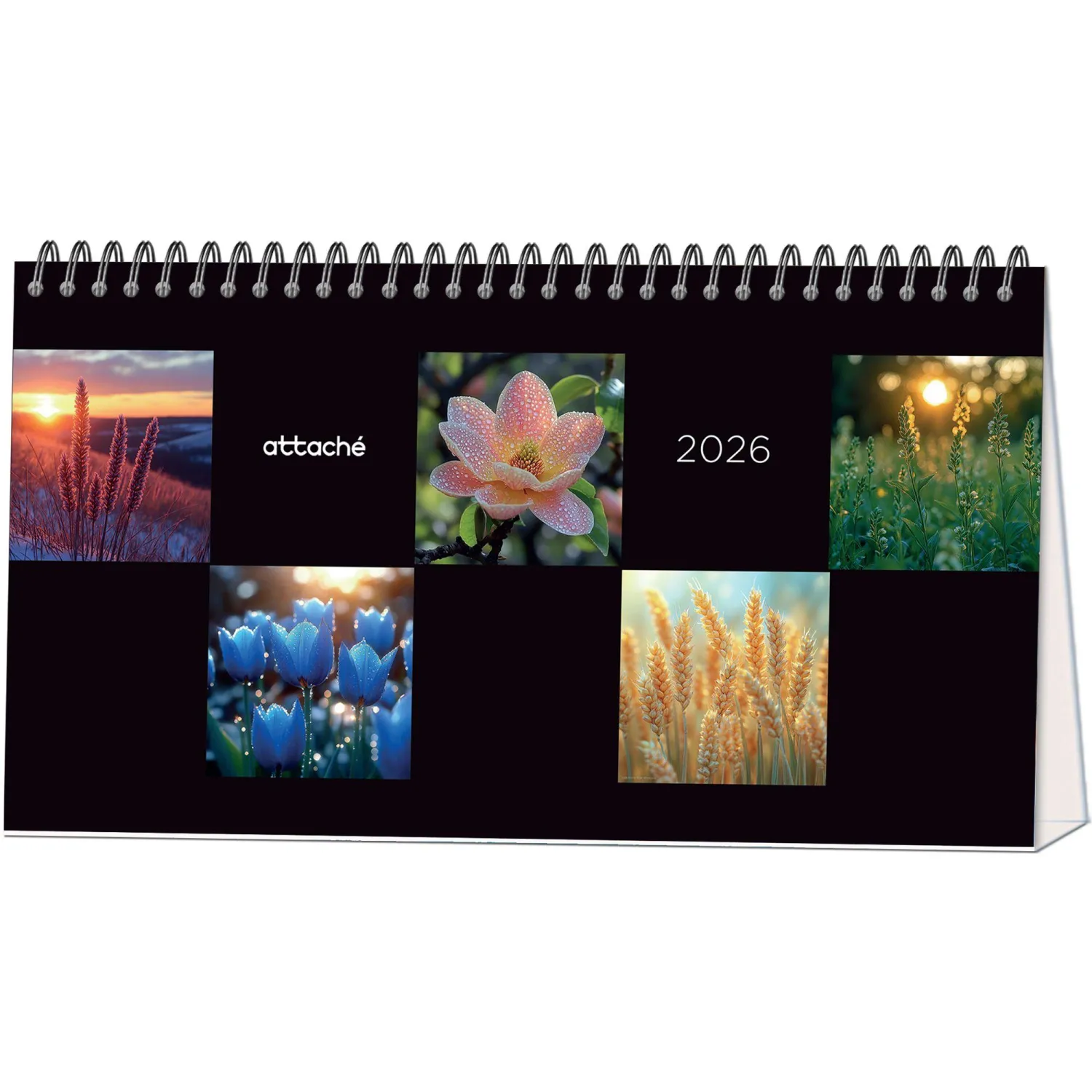 Календарь-домик настольный 2026 Atache, Застывший момент, 240х130 - фото 1