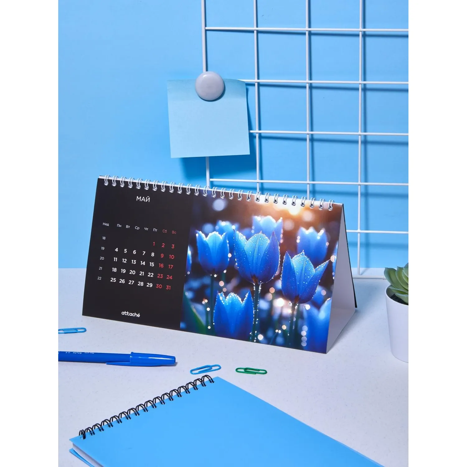 Календарь-домик настольный 2026 Atache, Застывший момент, 240х130 - фото 8