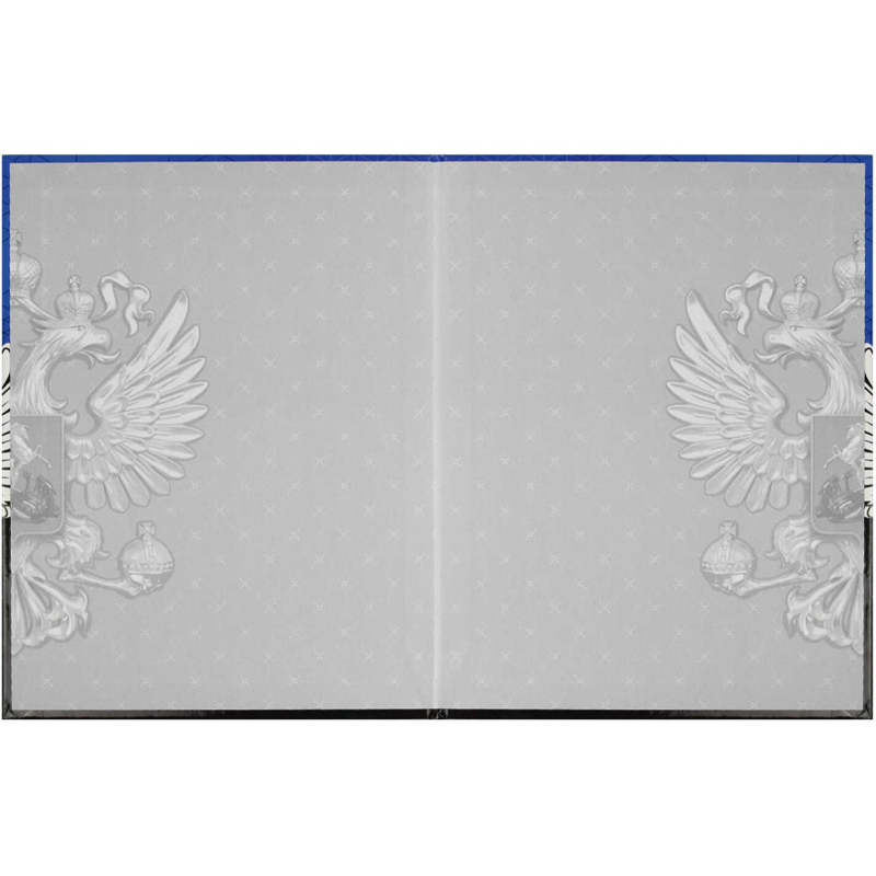 Дневник школьника  ГЕРБ А5+,48л,глянц.66841 - фото 3