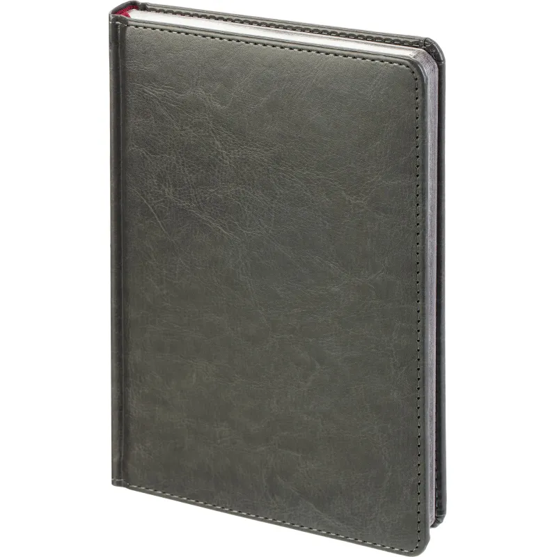 Ежедневник недатированный А5+ SIDNEY NEBRASKA серый,сереб.обр,136л 3-128/22 - фото 1