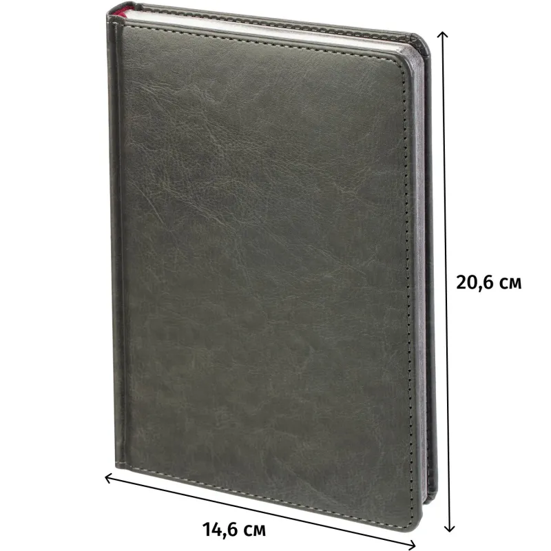 Ежедневник недатированный А5+ SIDNEY NEBRASKA серый,сереб.обр,136л 3-128/22 - фото 19