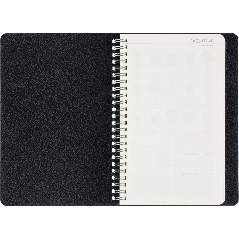 Ежедневник недатированный А5 ALBA черный, 136л 3-783/01 - фото 8