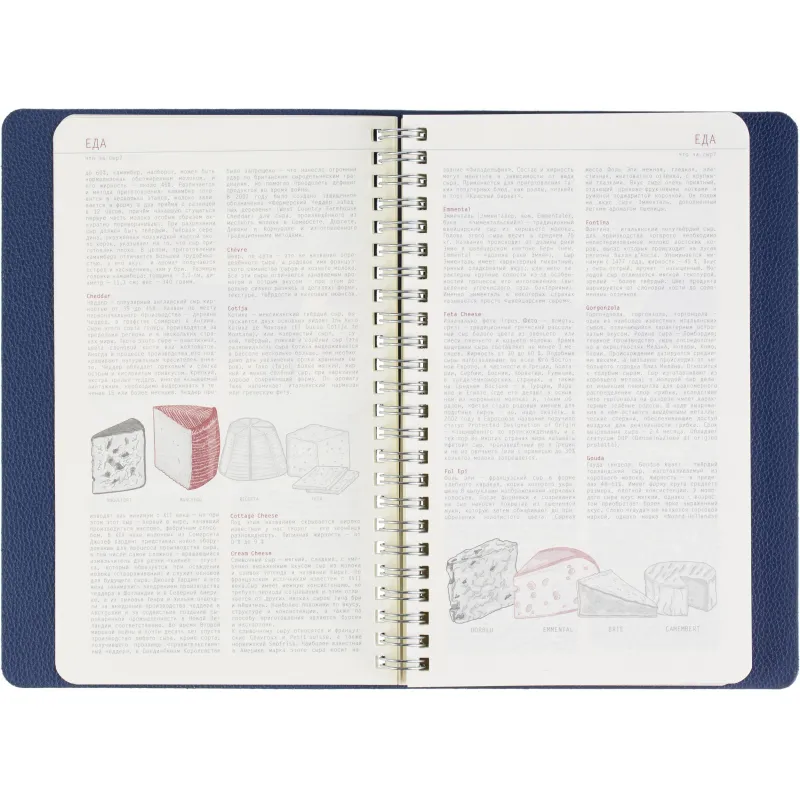 Ежедневник недатированный А5 ALBA синий, 136л 3-783/03 - фото 12