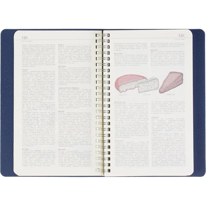 Ежедневник недатированный А5 ALBA синий, 136л 3-783/03 - фото 13