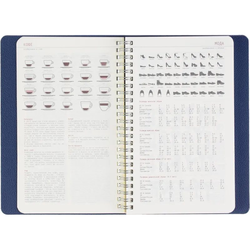 Ежедневник недатированный А5 ALBA синий, 136л 3-783/03 - фото 15