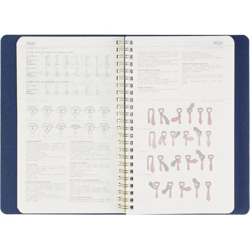 Ежедневник недатированный А5 ALBA синий, 136л 3-783/03 - фото 16
