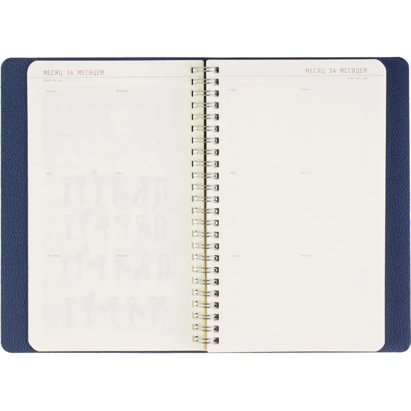 Ежедневник недатированный А5 ALBA синий, 136л 3-783/03 - фото 17