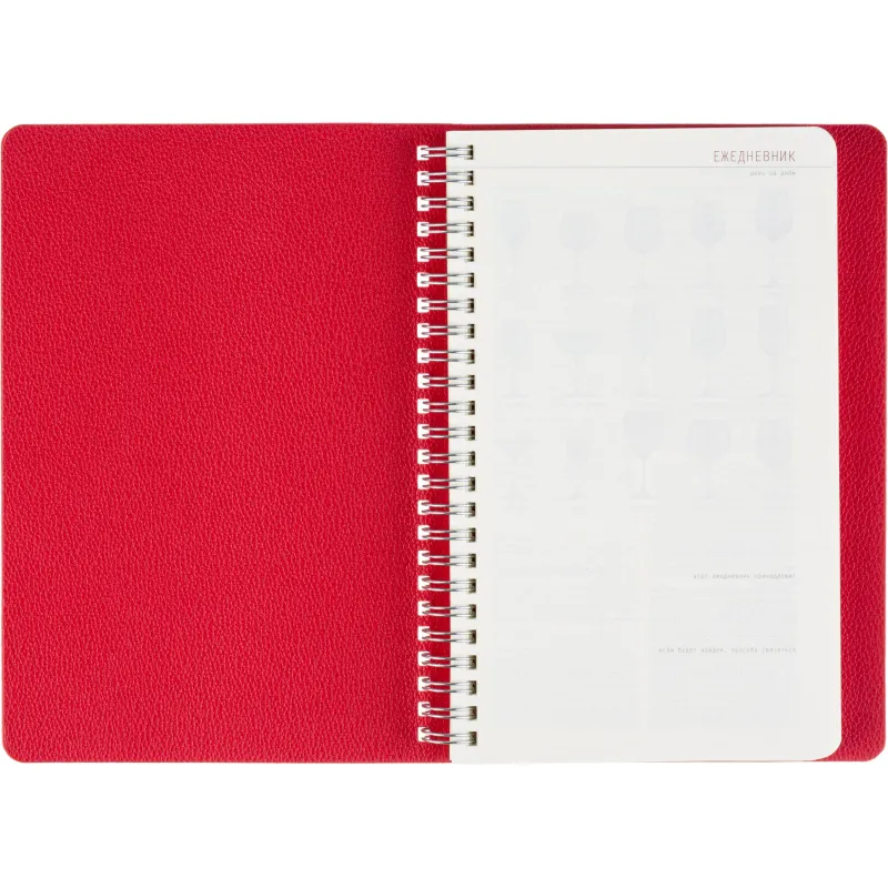Ежедневник недатированный А5 ALBA красный, 136л 3-783/05 - фото 8