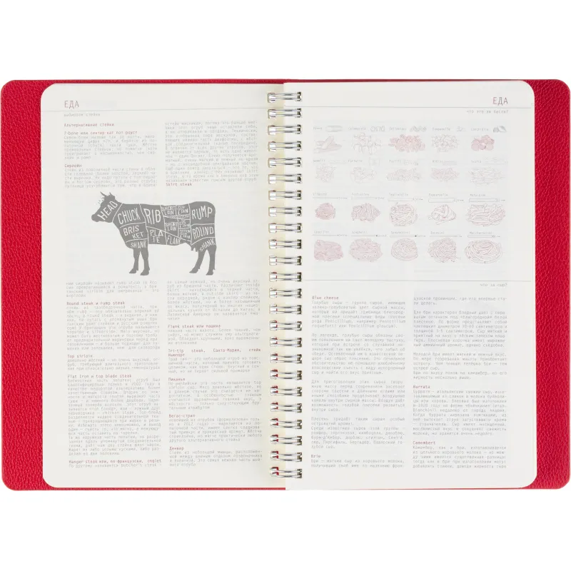 Ежедневник недатированный А5 ALBA красный, 136л 3-783/05 - фото 11