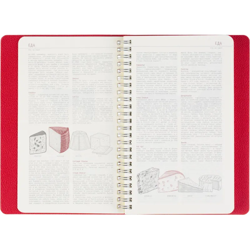 Ежедневник недатированный А5 ALBA красный, 136л 3-783/05 - фото 12