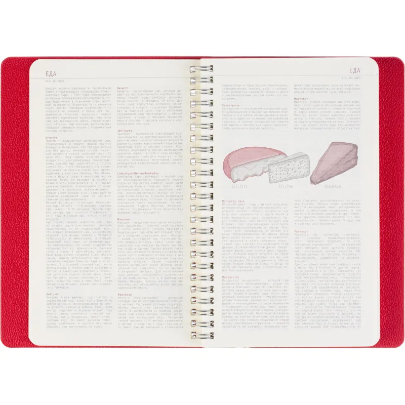Ежедневник недатированный А5 ALBA красный, 136л 3-783/05 - фото 13