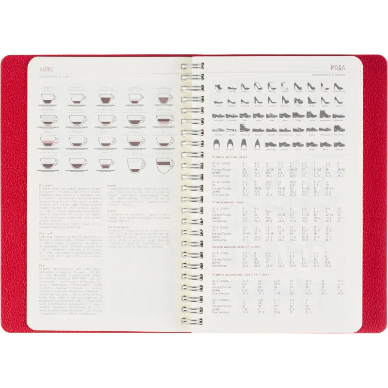 Ежедневник недатированный А5 ALBA красный, 136л 3-783/05 - фото 15