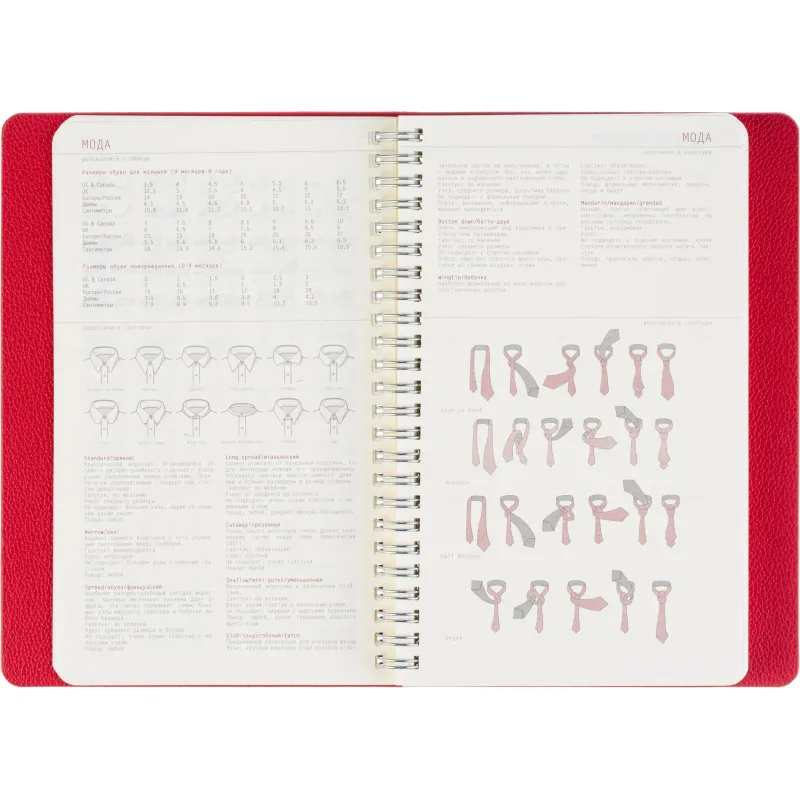 Ежедневник недатированный А5 ALBA красный, 136л 3-783/05 - фото 16