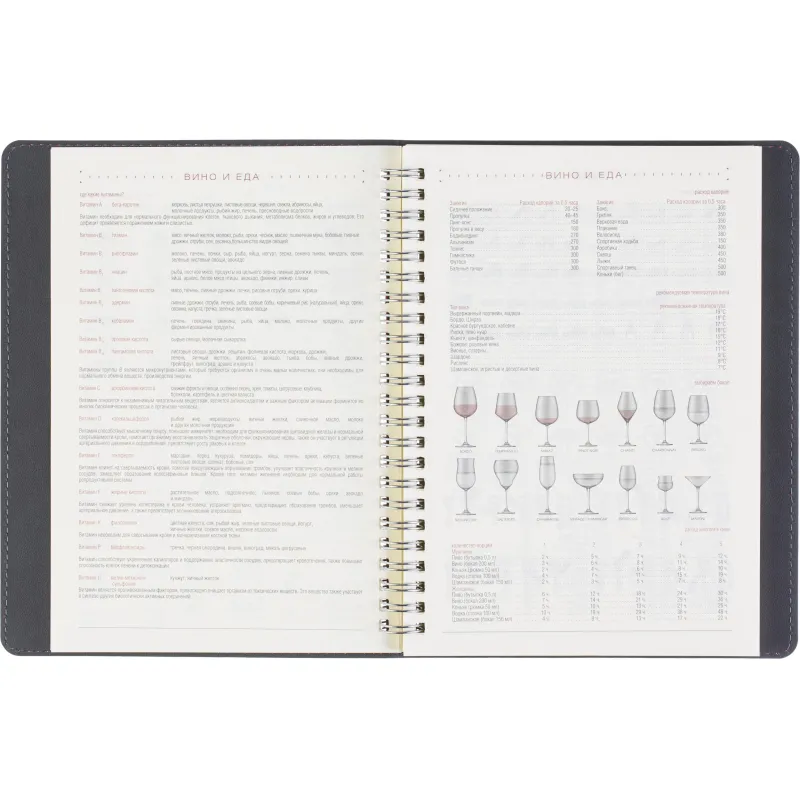 Ежедневник недатированный A5 TINTORETTO красный, 136л 3-608/06 - фото 11