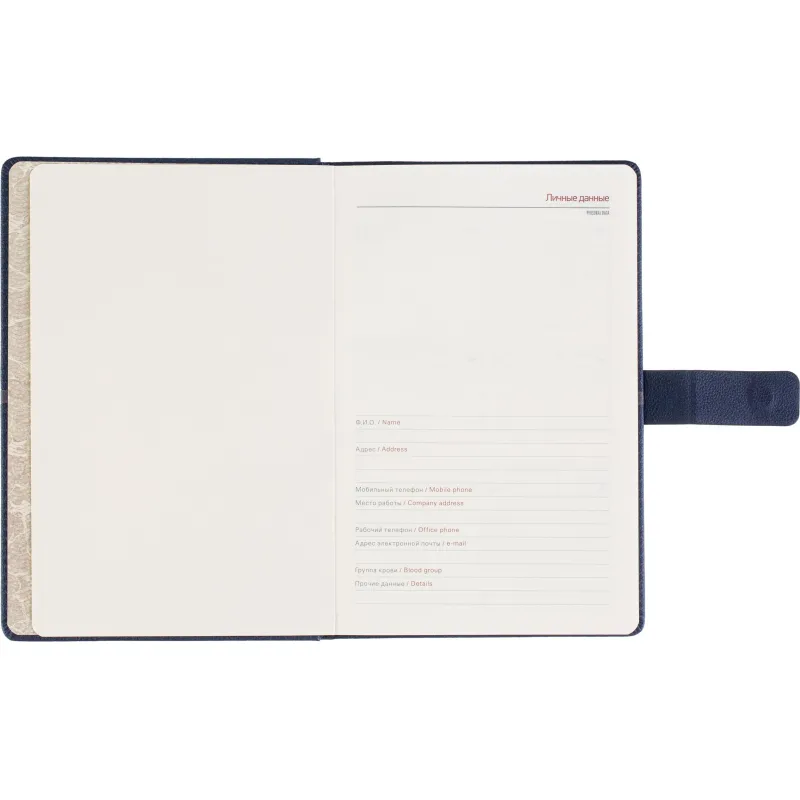 Ежедневник недатированный А5 LYON синий, 136л 3-684/01 - фото 9