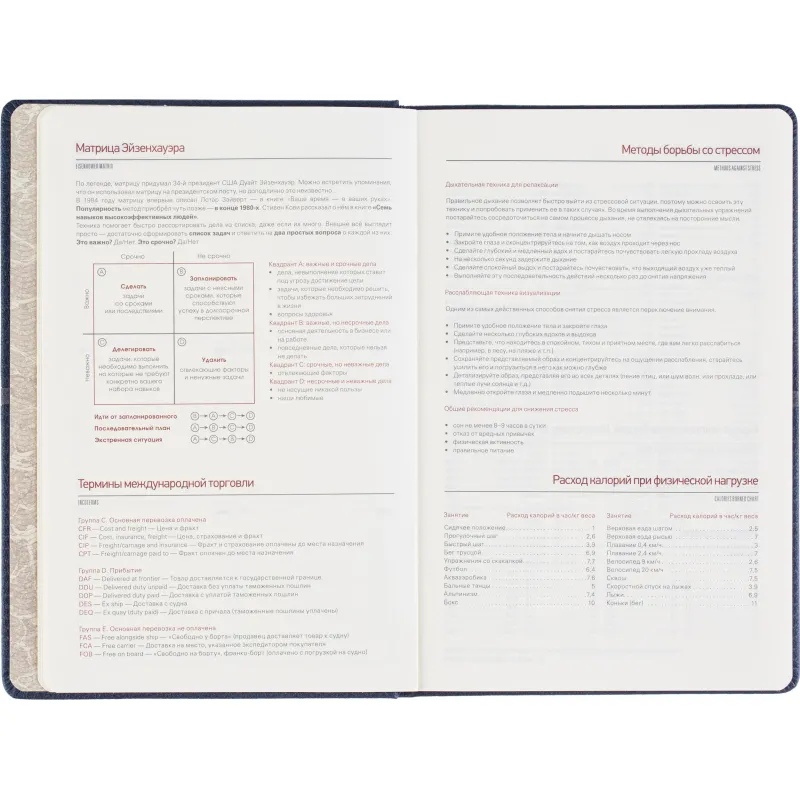 Ежедневник недатированный А5 LYON синий, 136л 3-684/01 - фото 11